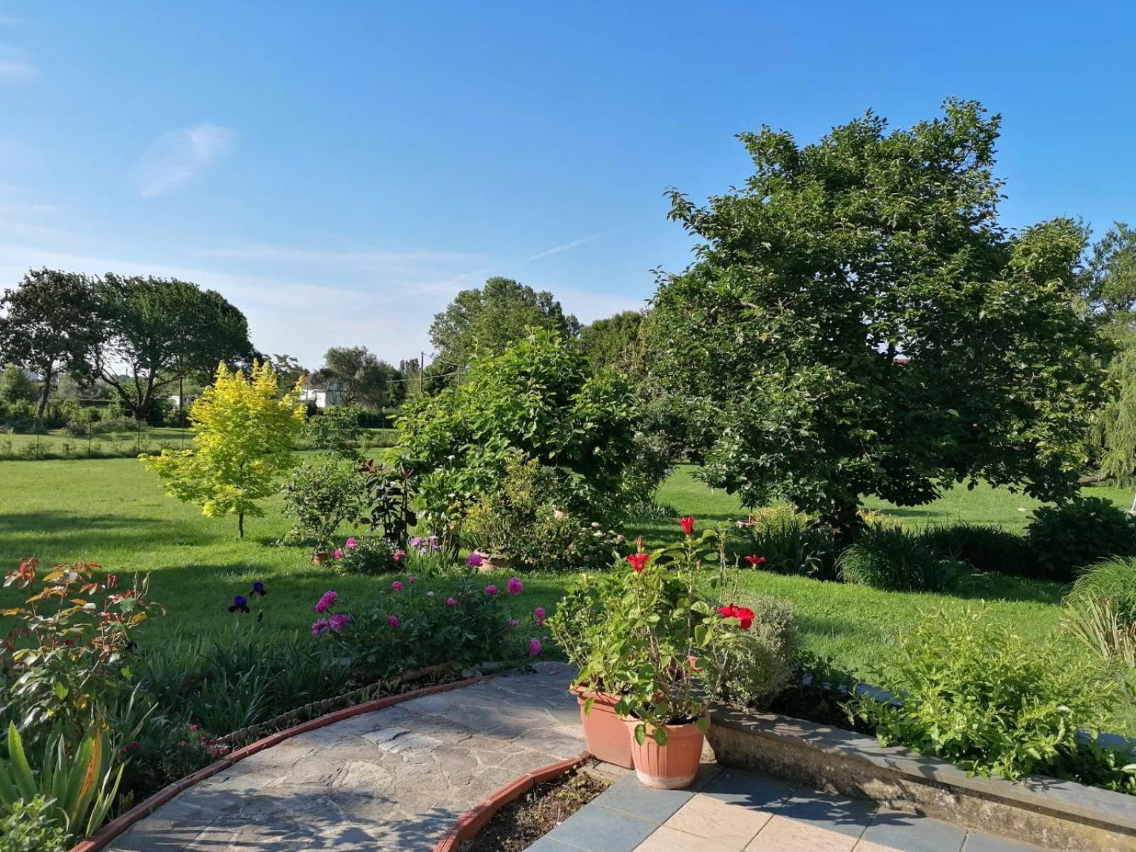 Versilia - Pietrasanta - Le Colmate Guesthouse Tonfano Ngoại thất bức ảnh