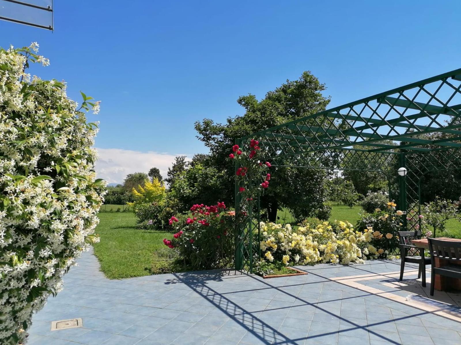 Versilia - Pietrasanta - Le Colmate Guesthouse Tonfano Ngoại thất bức ảnh