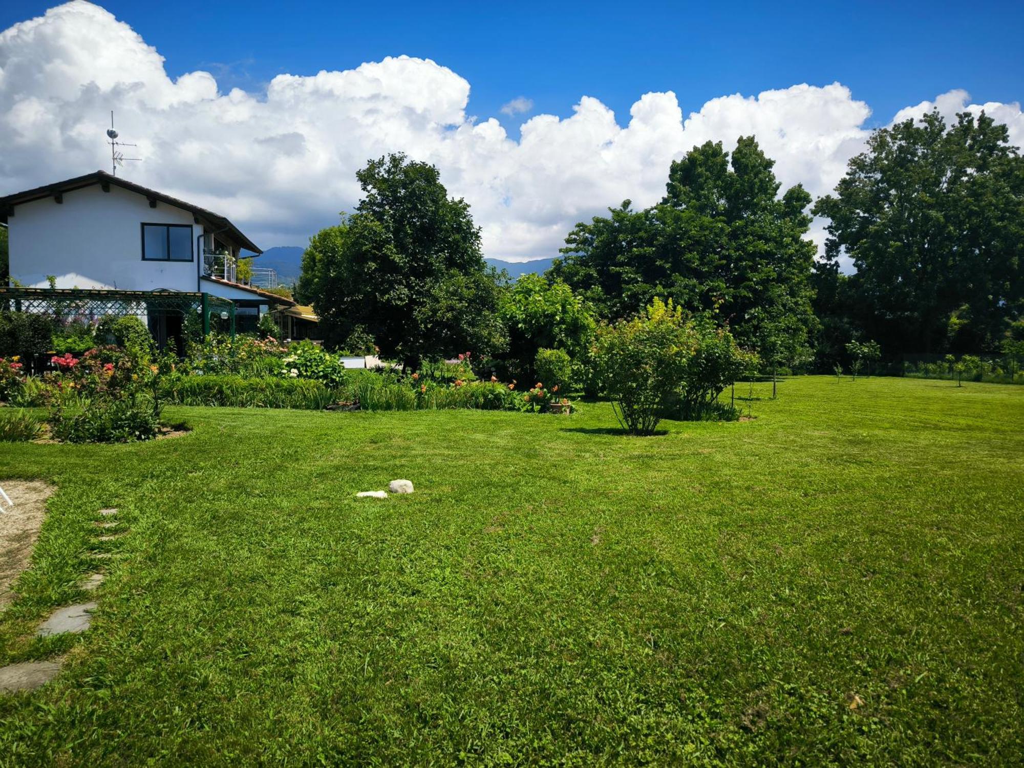 Versilia - Pietrasanta - Le Colmate Guesthouse Tonfano Ngoại thất bức ảnh