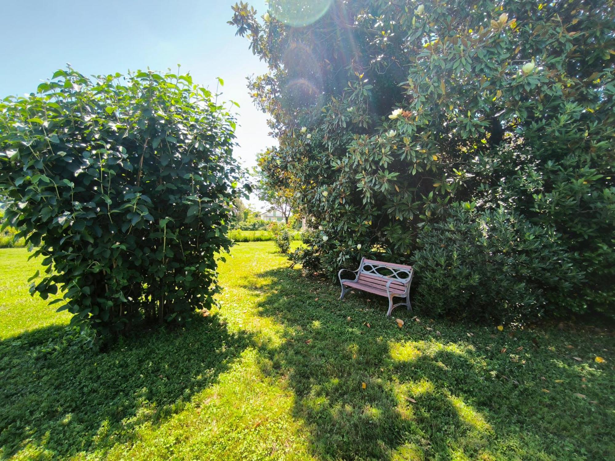 Versilia - Pietrasanta - Le Colmate Guesthouse Tonfano Ngoại thất bức ảnh