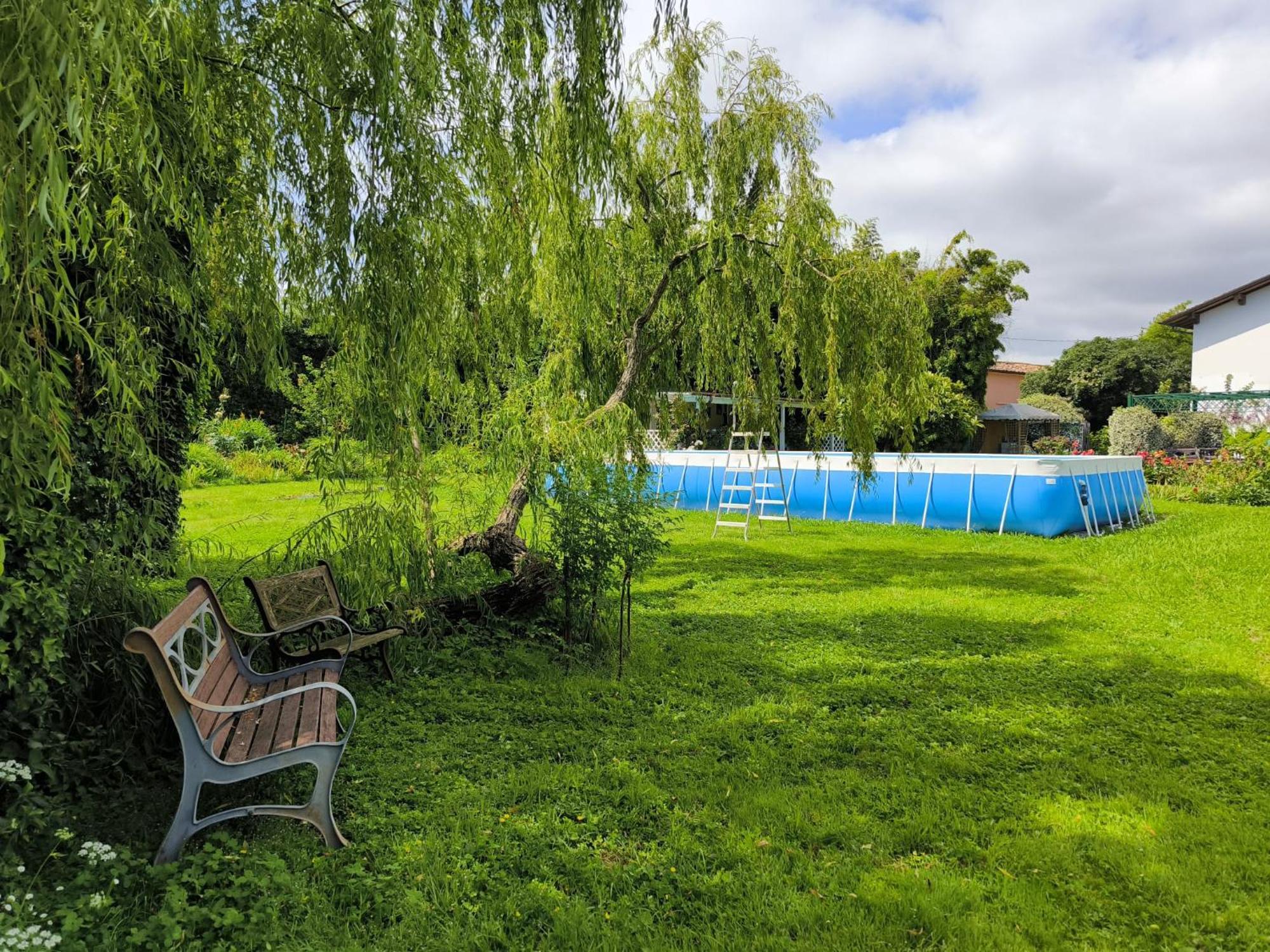 Versilia - Pietrasanta - Le Colmate Guesthouse Tonfano Ngoại thất bức ảnh
