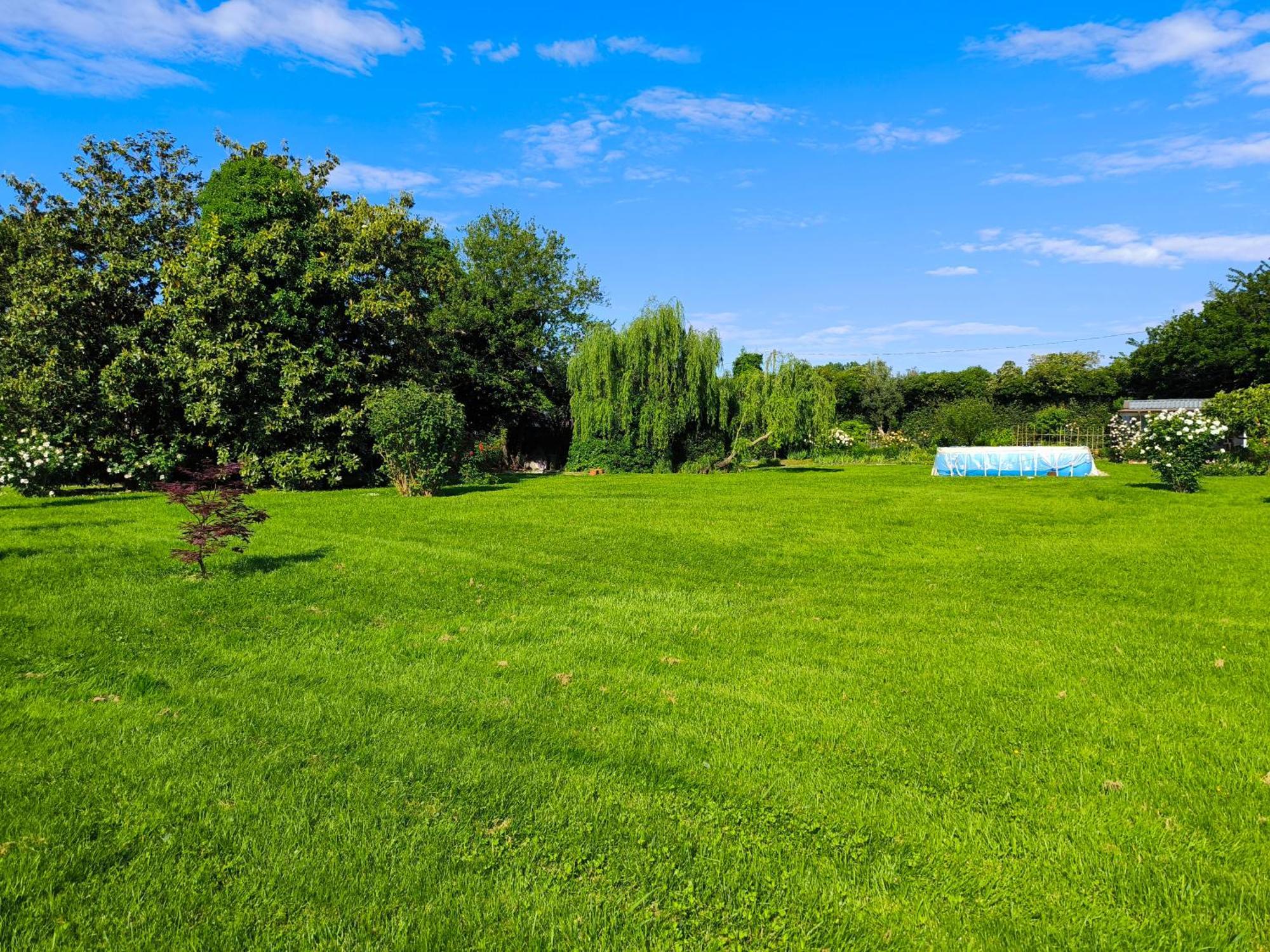 Versilia - Pietrasanta - Le Colmate Guesthouse Tonfano Ngoại thất bức ảnh
