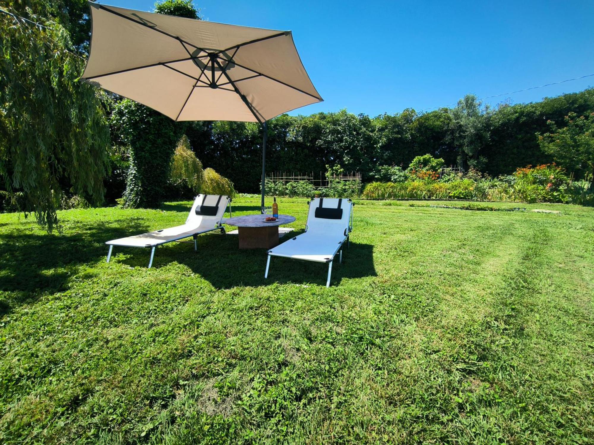 Versilia - Pietrasanta - Le Colmate Guesthouse Tonfano Ngoại thất bức ảnh